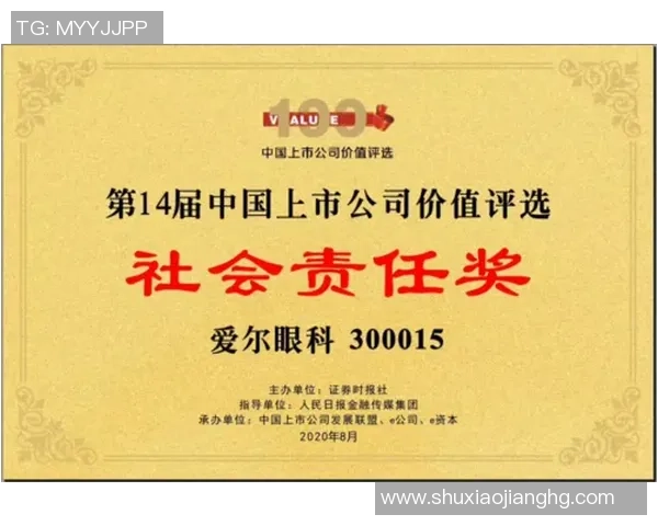 南京羽毛球队实力分析与大满贯赛事表现全景评述