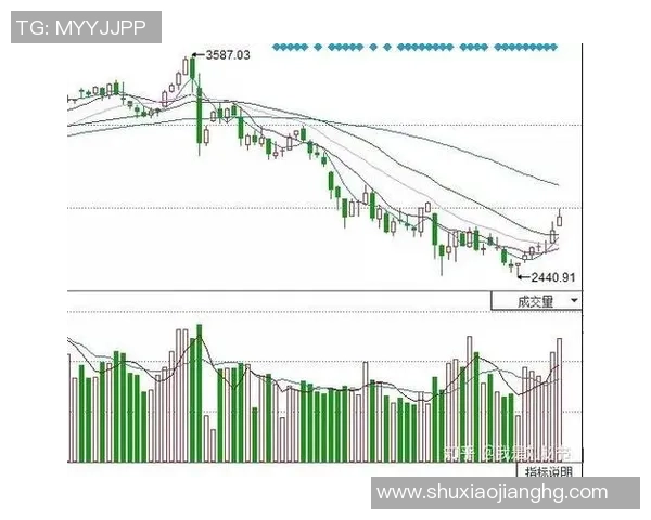 成都与武汉排球队赛后技术分析与战术复盘探讨 成都与武汉排球队赛后技术分析与战术复盘探讨