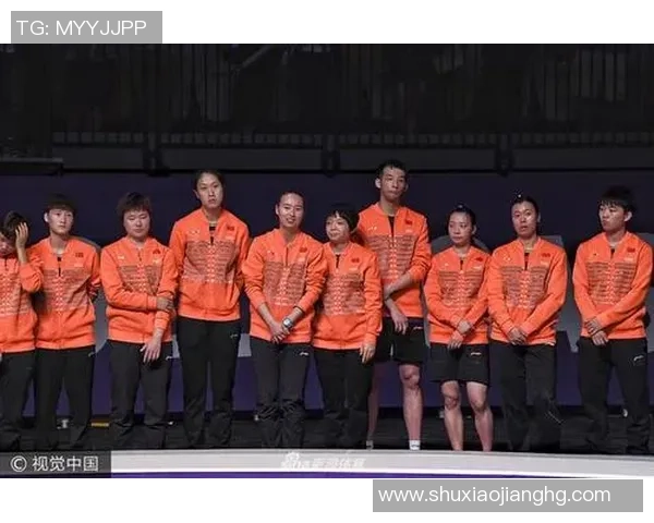 杭州羽毛球队战术解析与对比深度剖析助力球队提升竞技水平